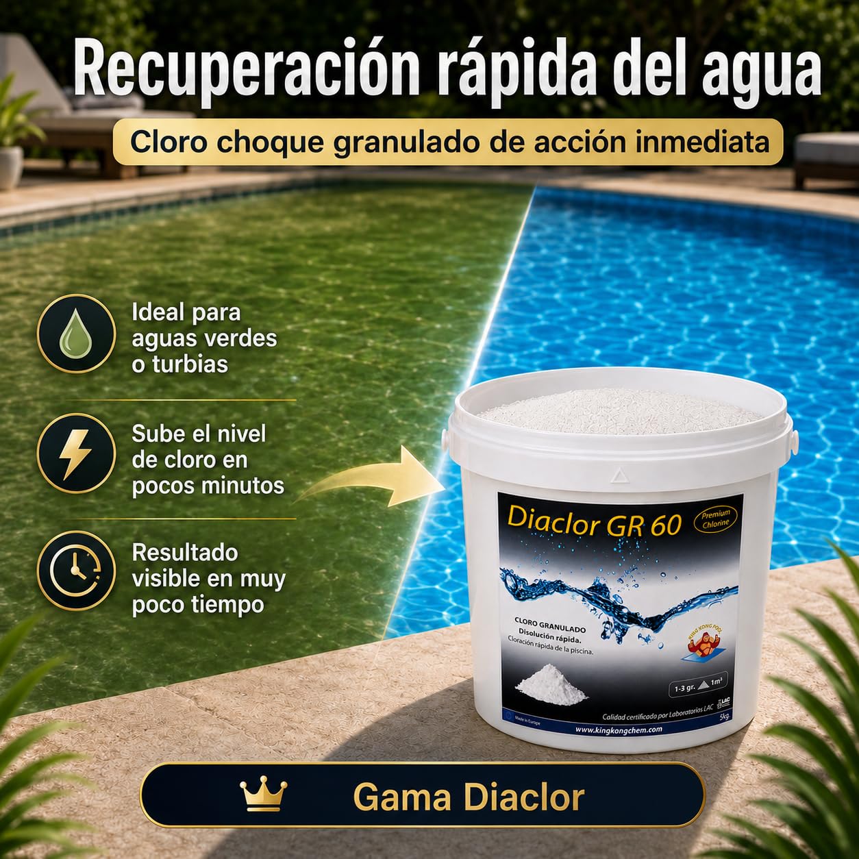 Pack 2 UDS - Cloro rápido para Piscinas DIACLOR GR 60 10 KG (2x5 KG) - Cloro granulado de disolución rápida Blanco