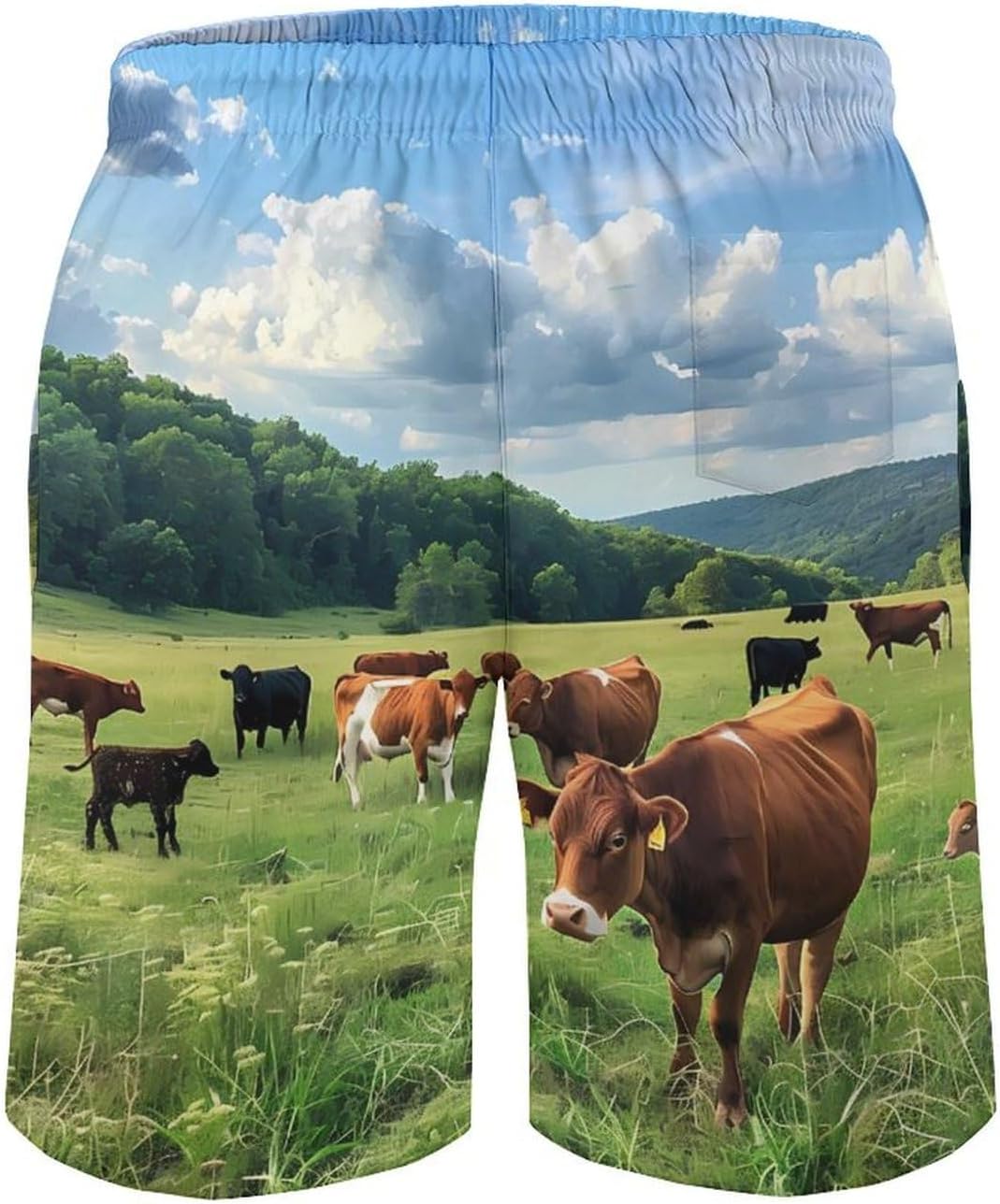 Farmhouse Cows Casual Men's Swim Trunks Novelty Summer Beach Shorts Swimwear with Pocket