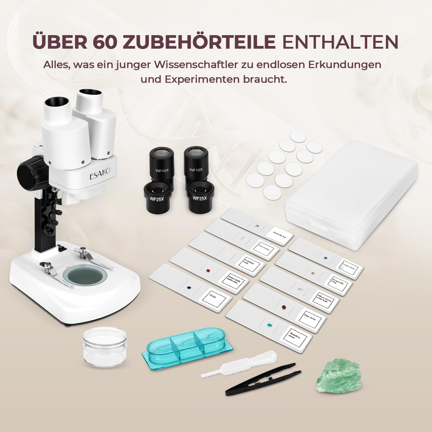 Dual-LED-Kindermikroskop - Wissenschaftsset mit 10 vorbereiteten Objektträgern und 10 leeren DIY-Objektträgern, Mineral- und Insektenproben, Mikroskop-Set für Kinder