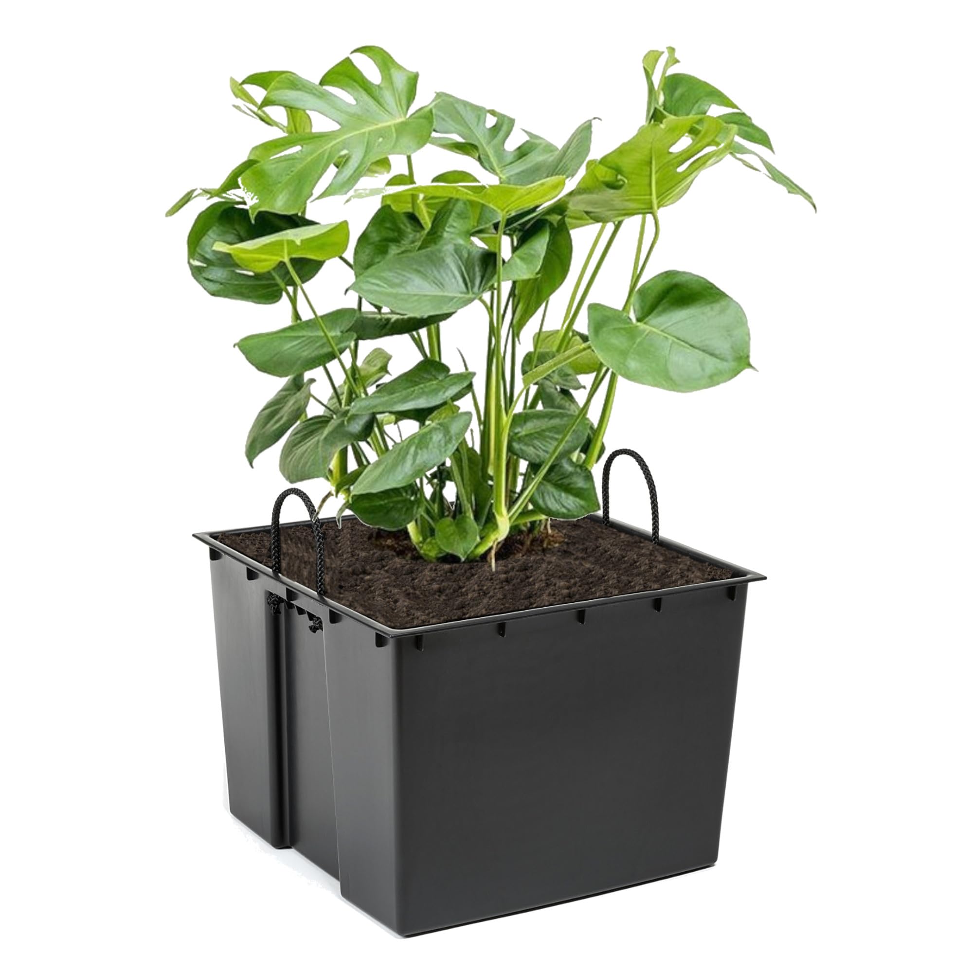 Lot de 2 inserts de pot de fleurs carrés interchangeables, durables, 34 x 28 cm, noirs, 28 l, pour pots Lamela de 68 x 35 cm, facilite le contrôle de la teneur en eau dans le pot, réduit la