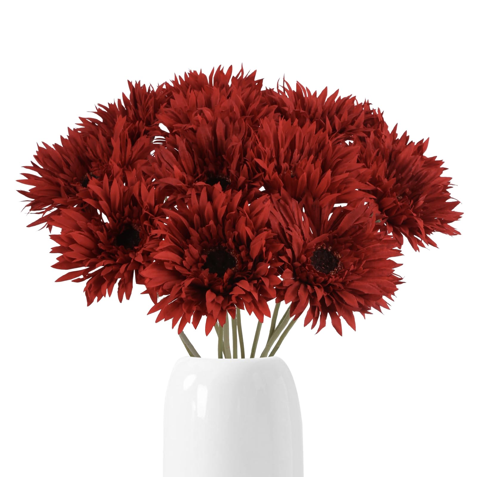 Fqueelvys 12-Pack Red Gerbera Daisy