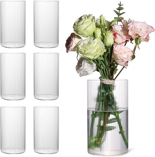 Glass Ribbed Cylinder Vases Pack of 6, 6 Inch Clear Flower Vases for Wedding Decorations and Indoor Home Decor, Hurricane Candle Holder for Table Shelf, Party
