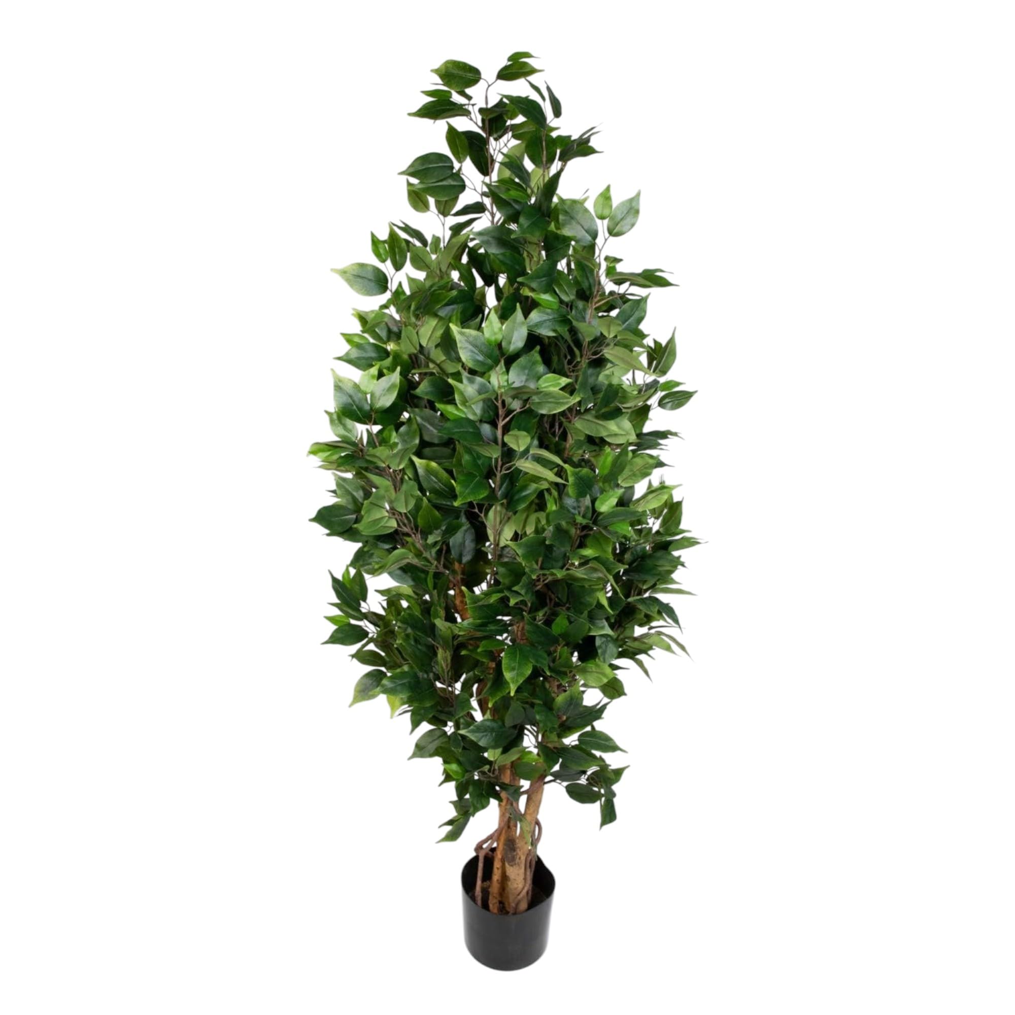 Ficus Nitida 180cm Grün LA Kunstbaum, Dekobaum Kunstpflanzen künstlicher Baum Pflanzen Kunstficus, Home Deko künstliche Pflanze, Deco Dekoration für Wohnzimmer Büro Badezimmer Schlafzimmer