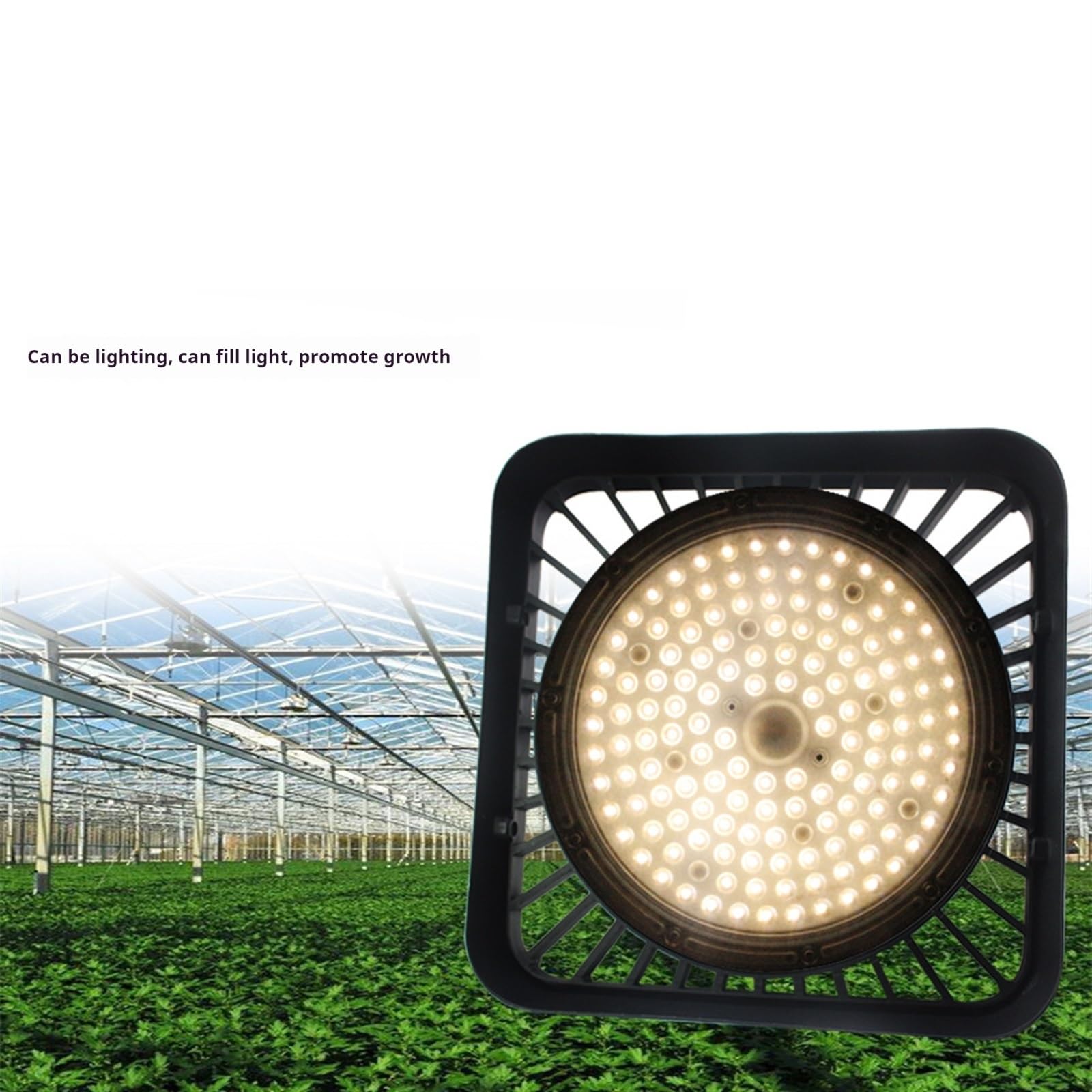 Lámpara de Cultivo, Lámpara LED de Espectro Completo for Cultivo de Plantas, Resistente al Agua IP65, 100 W, 150 W y 200 W(100W)