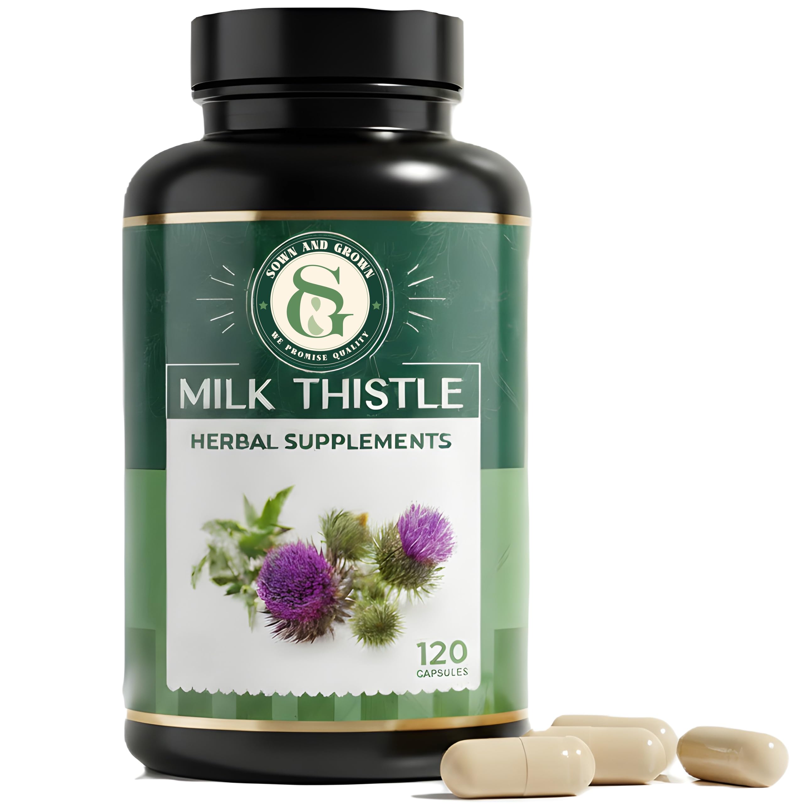 - Milk Thistle 250mg- 120 Capsules | Silymarin Extract | with Glutathione, Zinc & Choline | Liver Cleanse Detox & Repair | Gentle Daily Liver Support Supplement