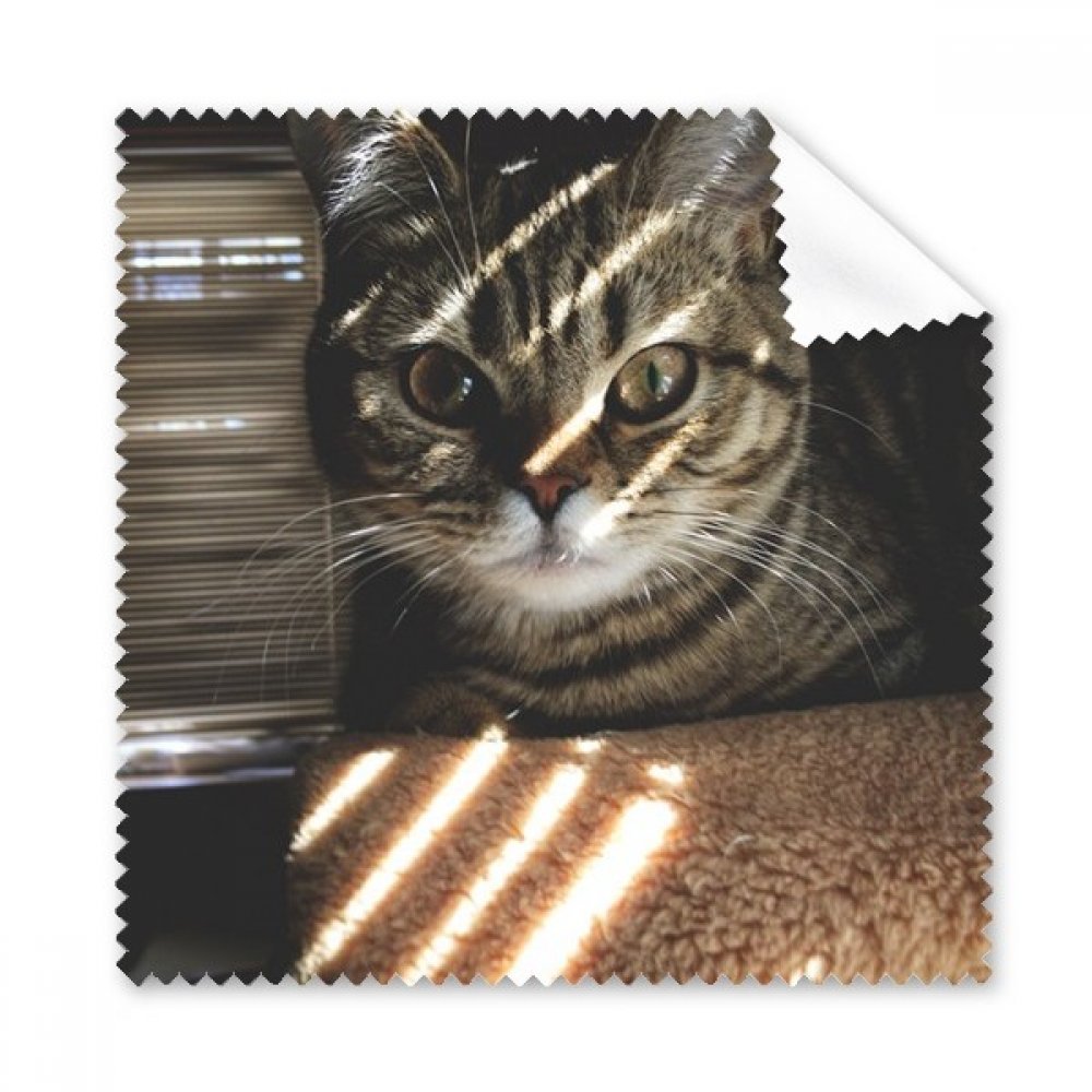 Cadeau chiffon de nettoyage chat pour écran de téléphone portable