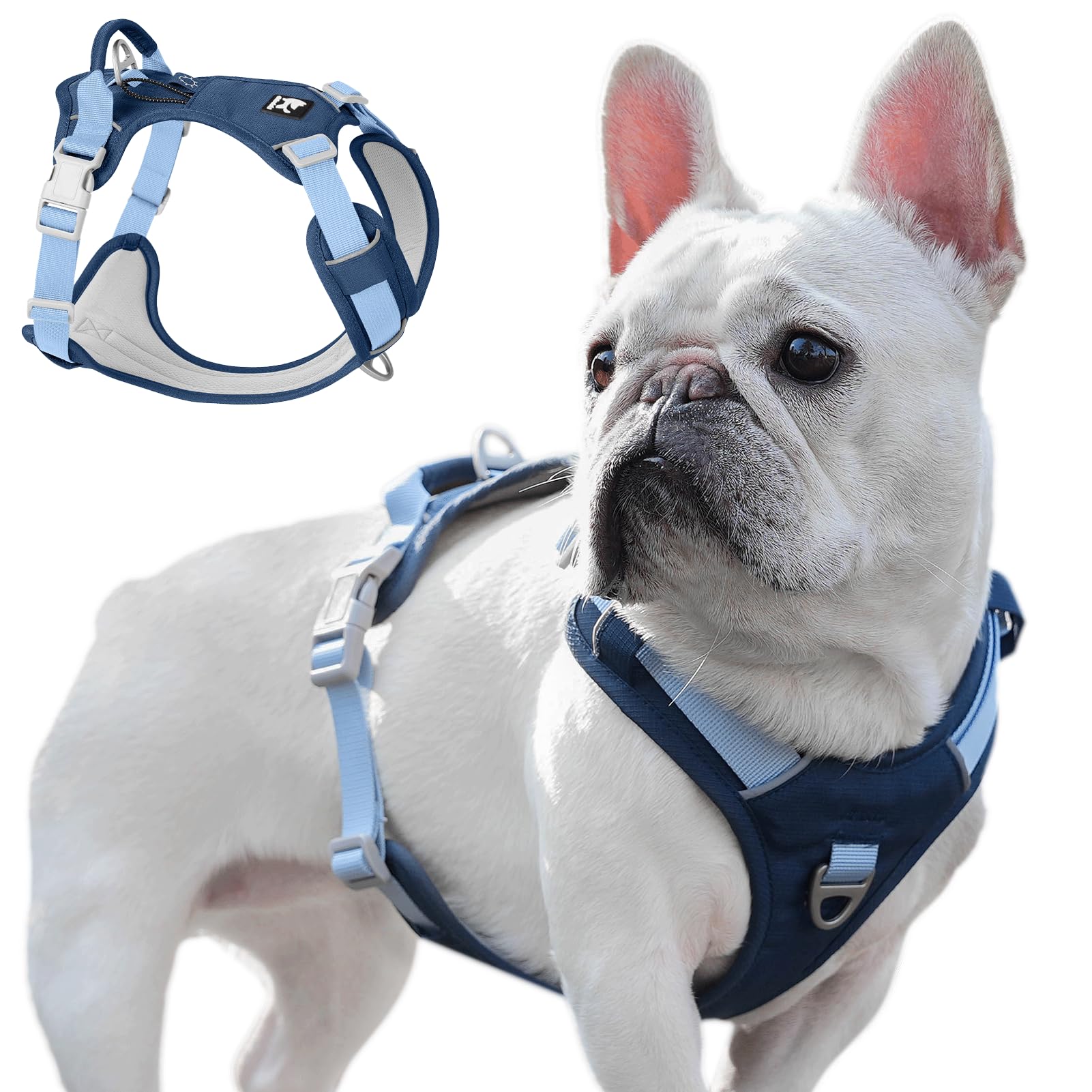 Harnais anti traction pour chien et bouledogue français taille M ajustable bleu