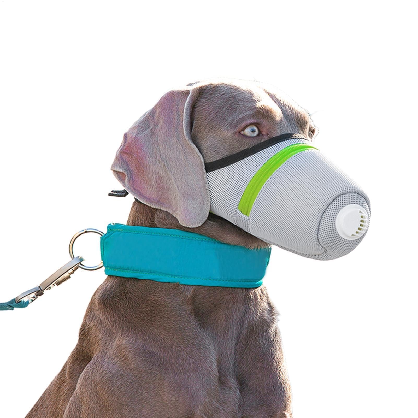 Muselière réglable et respirante pour chiens de petite et moyenne taille idéale pour le dressage, la marche, l'alimentation et éviter de lécher à l'extérieur