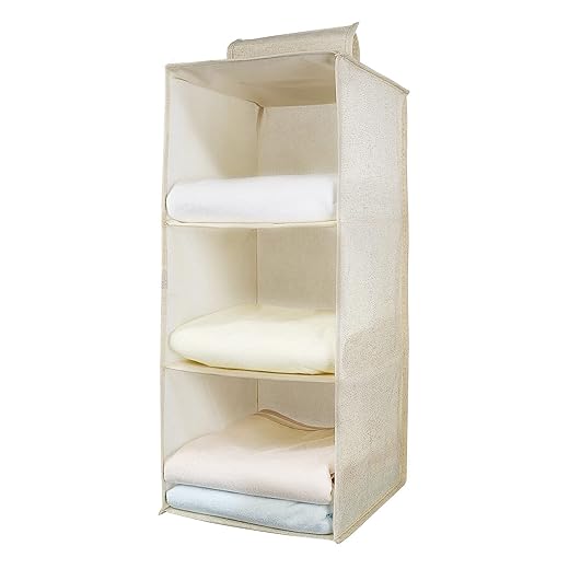 AiQInu Hanging Wardrobe Shelf, Hanging Storage Closet Organizer with 3 Compartments, Foldable Hanging Organizer and Space Saving Storage System
