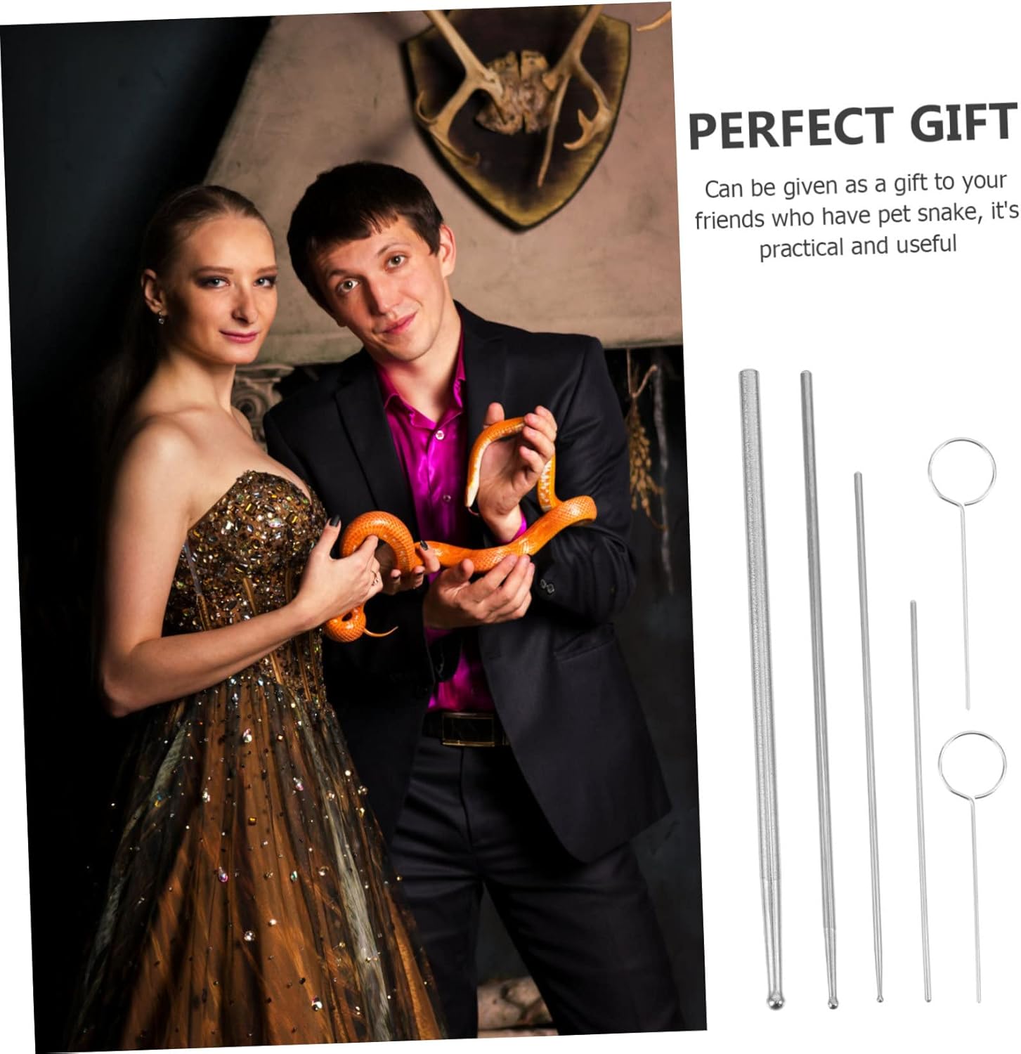 Reptile Snake Gendering Probe 6pcs Snake Sexing Tool Stainless Steel Comfortable Handle Easy to Operate