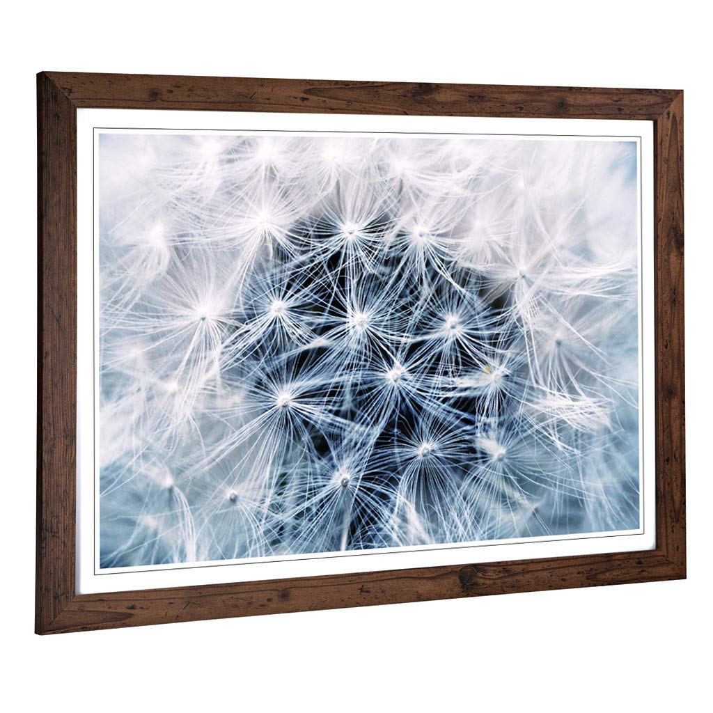 Big Box Art Framed Print of Flower Dandelion Seeds Design | Wall Art Picture | Home Decor for Kitchen, Living, Dining Room, Lounge, Bedroom, Hallway, Office, Walnut, A2 / 24.5x18 Inch / 62x45cm