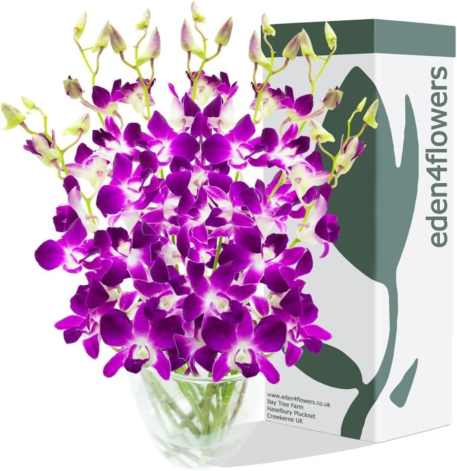Eden4flowers SINGAPORE ORCHIDS BOUQUET - Birthday Flowers Thank You and Anniversary mothers day Bouquets
