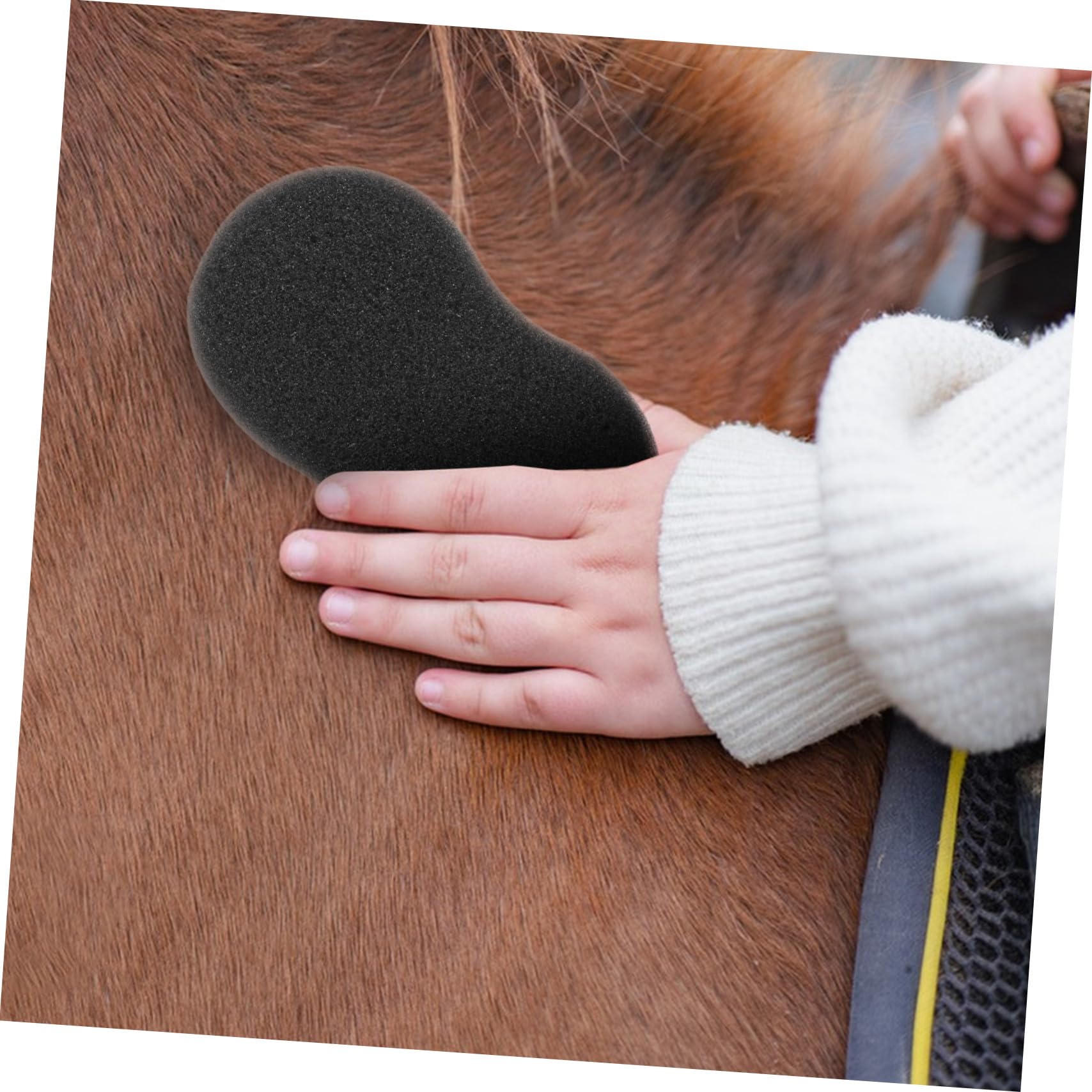 ORFOFE 5piezas Esponjas Para Limpieza y Baño De Caballos Esponjas Duraderas y Suaves Para Cuidado Animal Herramientas De Higiene Para Eliminar Suciedad y Pelo Suelto Accesorio Esencial Pa