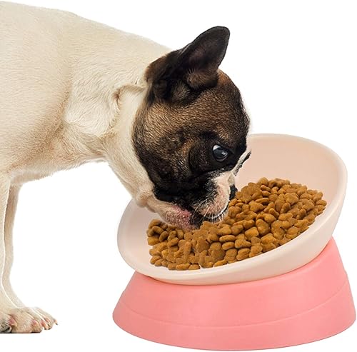 Pawdoer French Bulldog Food Bowl Slanted Tilted Pug Food Water Bowl Pet Feeder for Frenchie Shih Tzu Flat Faced Small Dogs Puppies Cat