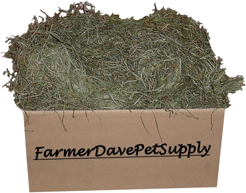 5 Lb Tender Third Cut Timothy Hay, Small Animal and Pet Hay