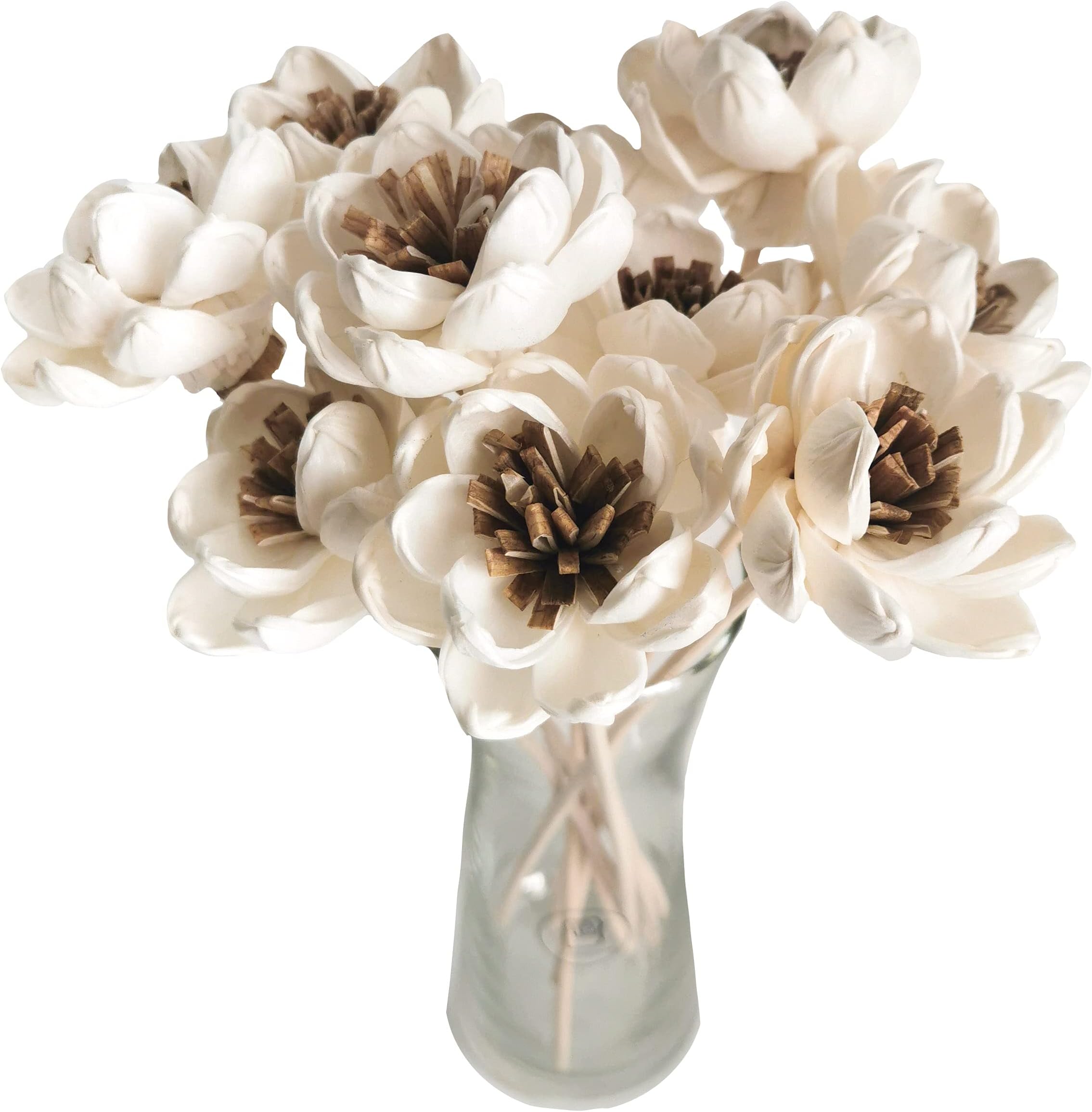 10 Angel Wings Lotus Sola Flower with Reed Diffuser for Home Fragrance by Plawanature