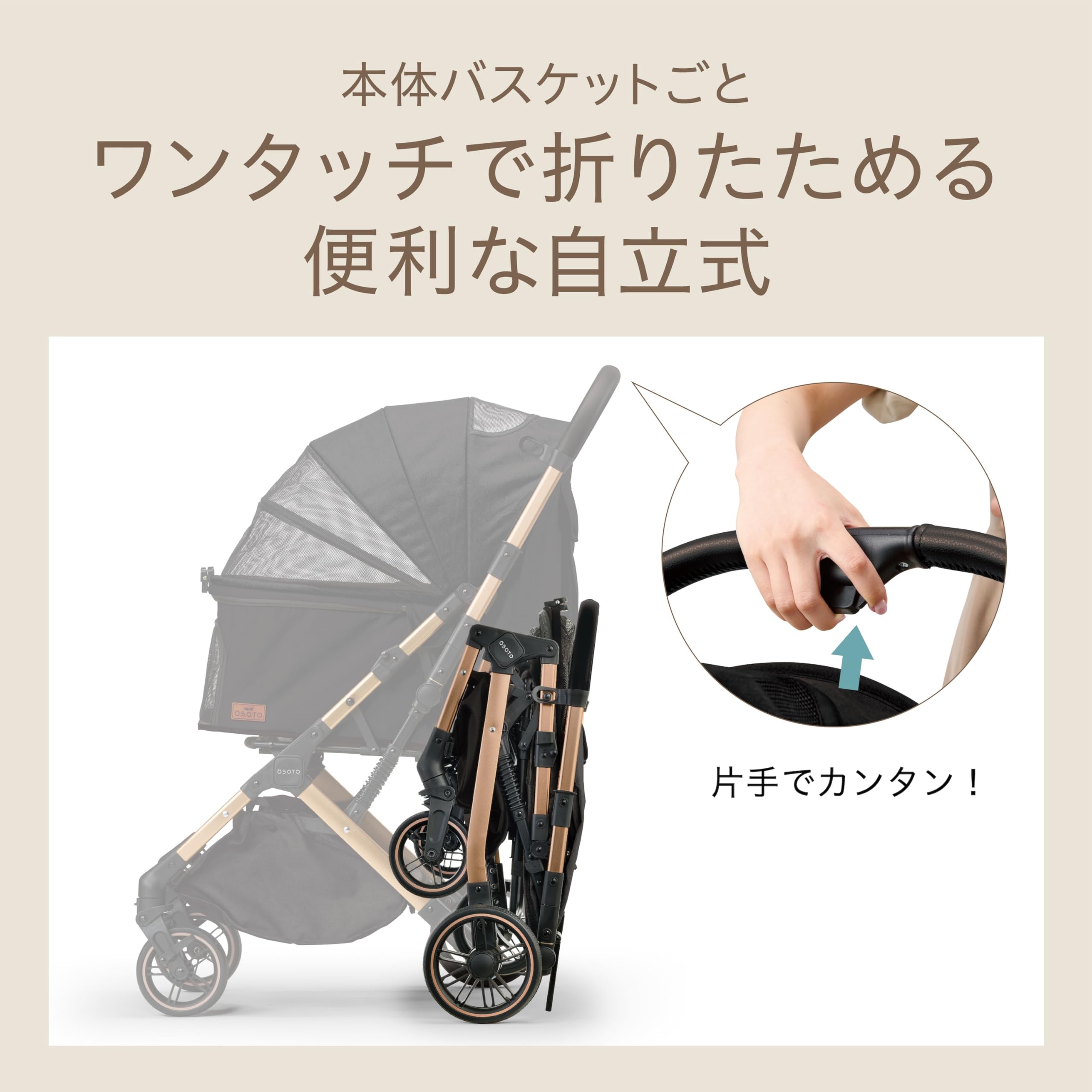 Amazon | ジェックス OSOTO GRACE QC Ⅱ ノワール ワンタッチで