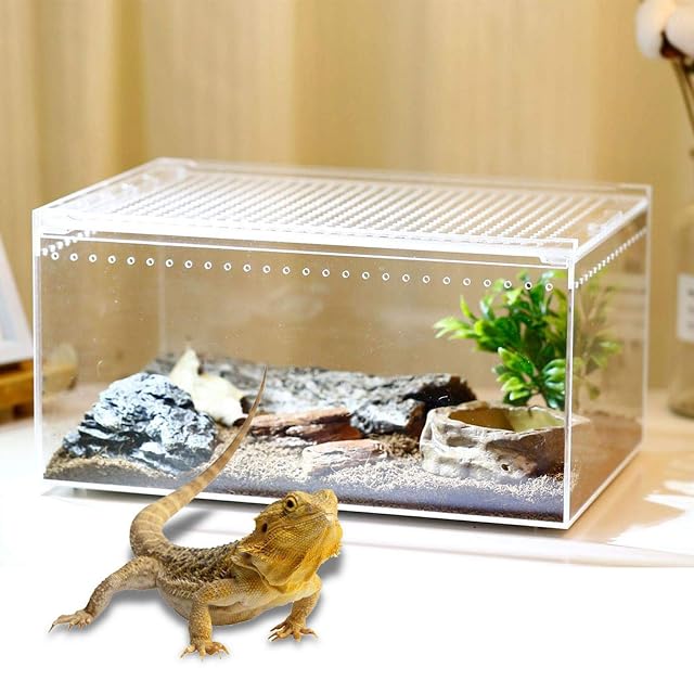 Foto 6 de 8 de Caja transparente para reptiles, acrílico, para cría reptiles, para reptiles, lagarto, escorpio, ciempiés