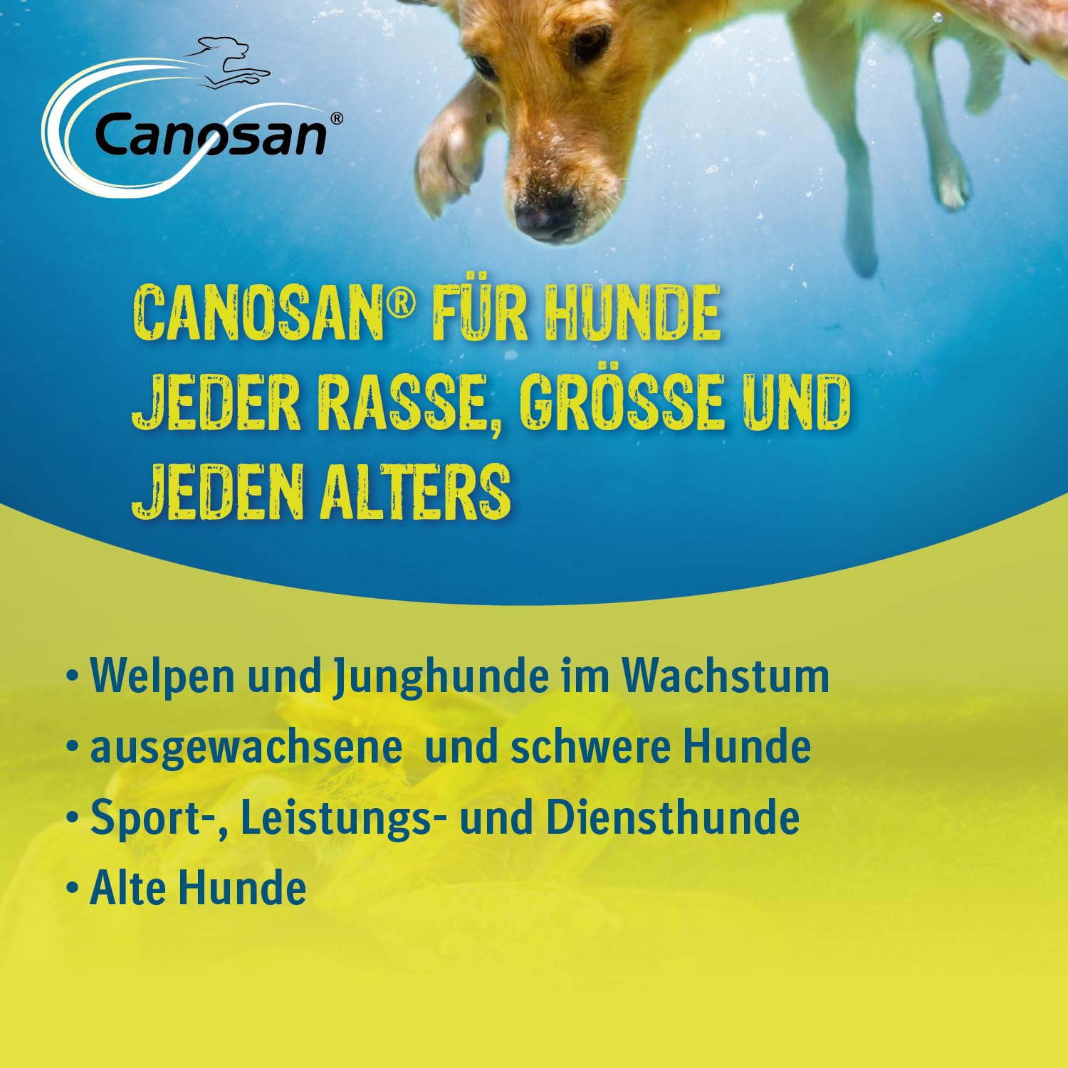 CANOSAN Pellets 2 x 1300 g Grünlippmuschel für Gelenkgesundheit bei Hunden