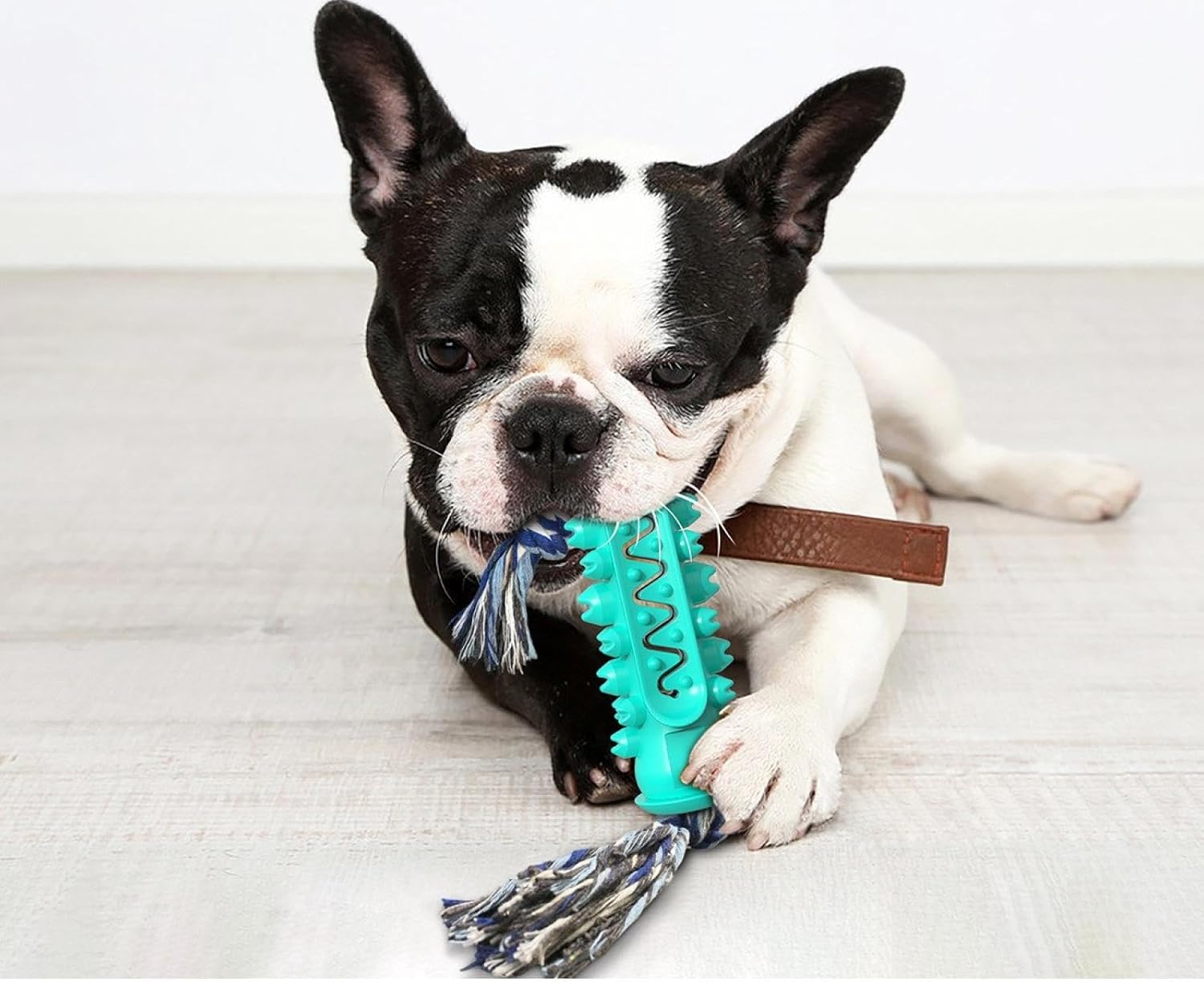 Teething Sticks, Dog Teether Sticks, Chewing and Cleaning Sticks, Exhaust Toy Dog Toothbrush Blue