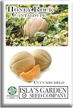 Honey Rock Cantaloupe Seeds Cucumis melo 50+ Heirloom Non-GMO Seeds by Islas Garden Seeds, Sweet Aromatic Melons w/Juicy Orange Flesh, High-Yield Warm-Season Variety, Home Fruit Garden Gift Idea