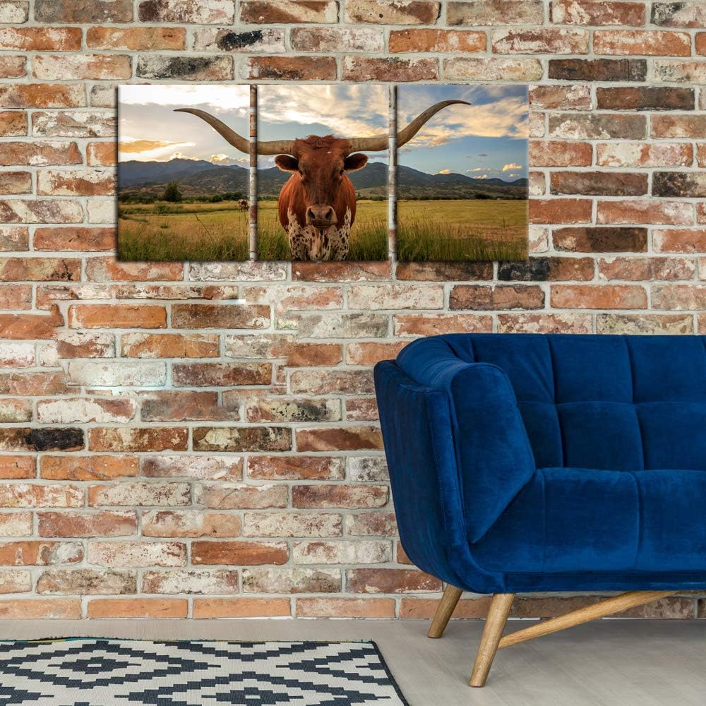 iKNOW FOTO 3 Piece Highland Cow Canvas Wall Art Prints Longhorn Photo Contemporary Paintings Farm Animals Pictures Giclee Artwork Gallery Wrapped Ready to Hang 12x16x3
