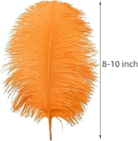 Vista 19 de 24 piezas de plumas de avestruz blanco natural de 10-12 pulgadas (25-30cm) para centros de mesa de bodas y fiestas, arreglos florales y decoración