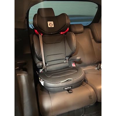 Peg Perego Viaggio Shuttle Plus 120 - Booster Car Martinique | Ubuy