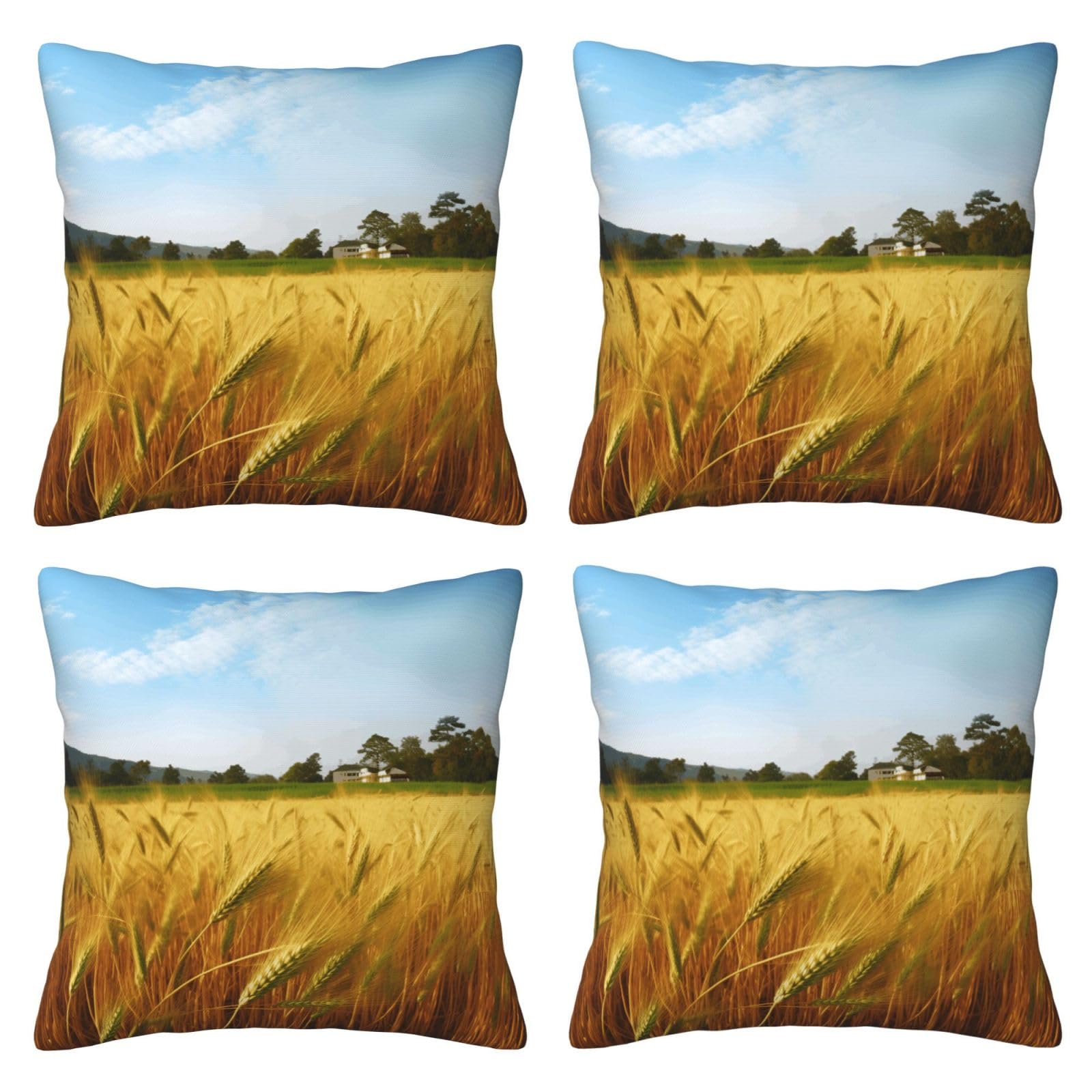 Paddy Rice Field Throw Pillow Cases 4 Pack Square Pillowcases Super Soft Pillow Protectors With Zipper for Couch Livingroom Sofa Bed Office Car,30x30 CM