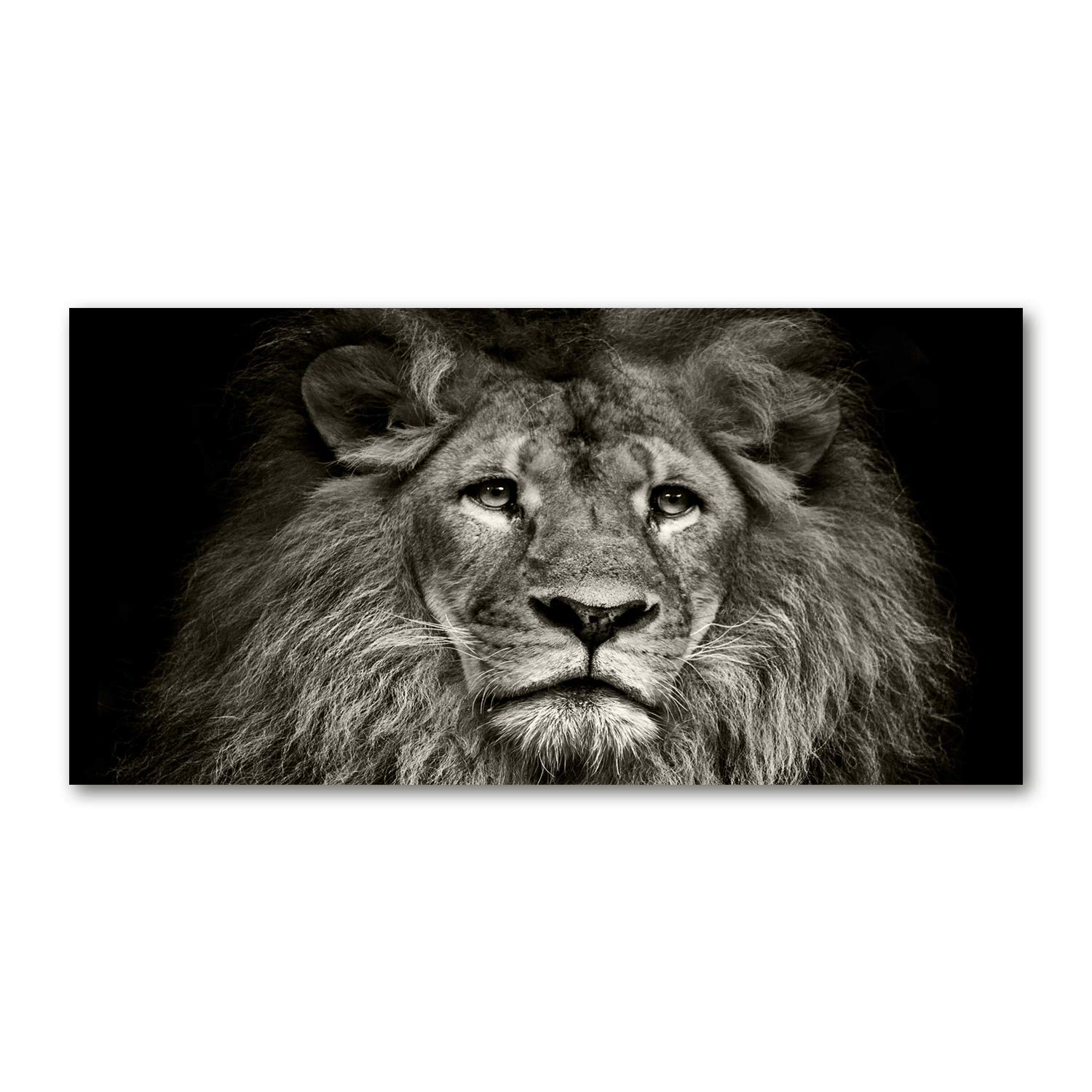 Tulup Black & White Glass Picture Wall Art - 100X50cm - Tempered Glass Decoration - Print For Living Room Bedroom - Toughened Glass Image - Glass Picture Wall Art - Lion