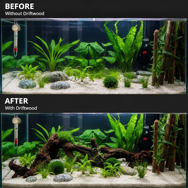 Foto 8 de 8 de Emours - Ramas de madera natural para reptiles y decoración de acuarios y pecera, surtido de distintos…