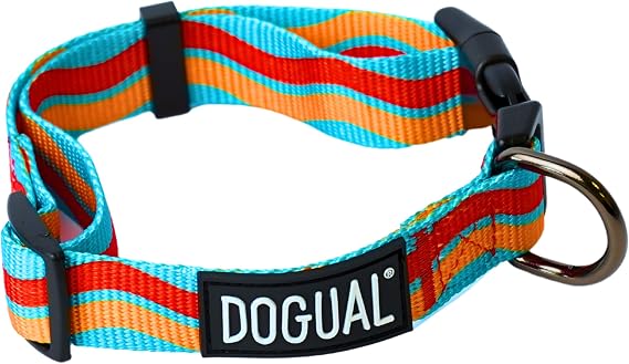 Premium Adjustable Dog Collar - All Breeds Durable Stylish Comfortable Collar for Dogs (Small)