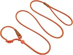 6ft Small Dog Training Leash, 1/4-In Lightweight Slip Lead Dog Leash, No-Pull Cute Leashes for Small Dogs Puppy Pets