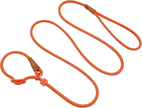 6ft Slip Lead Dog Leash for Small Dogs, 1/4-In Rope Training Leash | 7+ Colors Lightweight No-Pull Cute Slip Leashes for Puppy Pets Medium Small Dogs