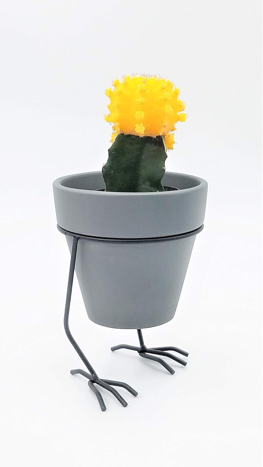 White Flower Pot Succulent Cacti Planter with Metal cast Iron Holder with Bird feet Design (Gray)
