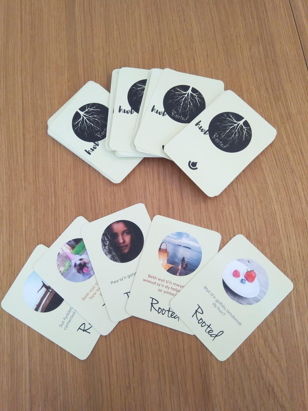 HWB Rooted cards