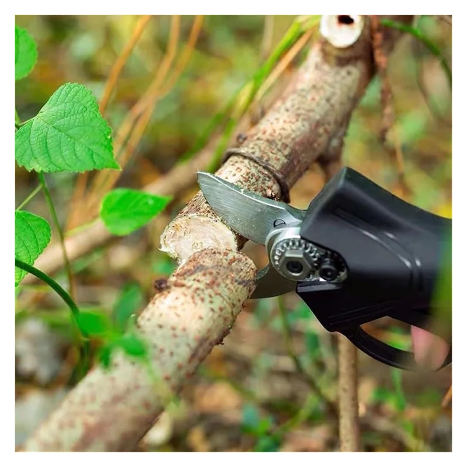 Podadora eléctrica de 4 engranajes, tijeras podar sin escobillas, podadora inalámbrica alimentada por litio, poda bonsái árboles frutales con 2 baterías,Serie profesional(2x Battery-01)