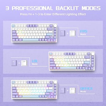 A.JAZZ AK820 TKL 有線メカニカルゲーミングキーボード 75% ノブ付き ホットスワップ可能 ガスケット構造 アップグレードされたソケット&5層ノイズ吸収フォーム コンパクトな82キー RGBバックライト NKRO シーソルトスイッチ Win/Mac用