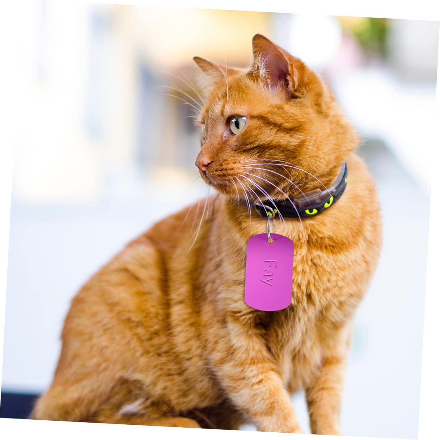 Housoutil 96pcs Blank Pet Id Tags Alloy Dog Name Tags for Cats Kittens and Pets Lightweight for Projects and