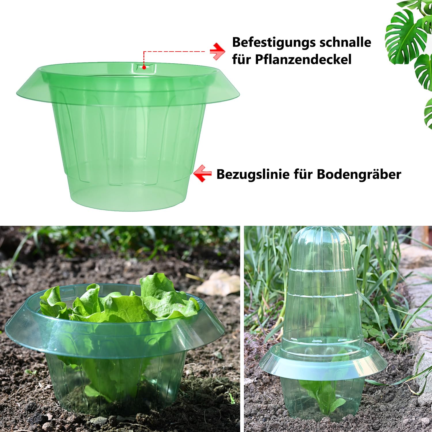 Schneckenkragen； Neueste Mittelgroßer Schneckenschutzring,Schneckenschutz Kann Ergänzung zum Pflanzenhut um einen Minitreibhaus zu kreieren.