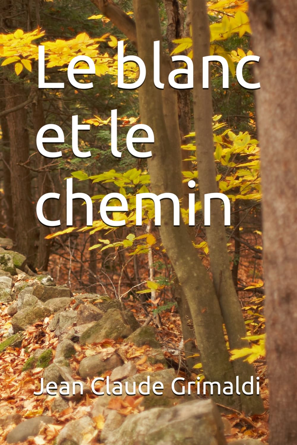 Le blanc et le chemin