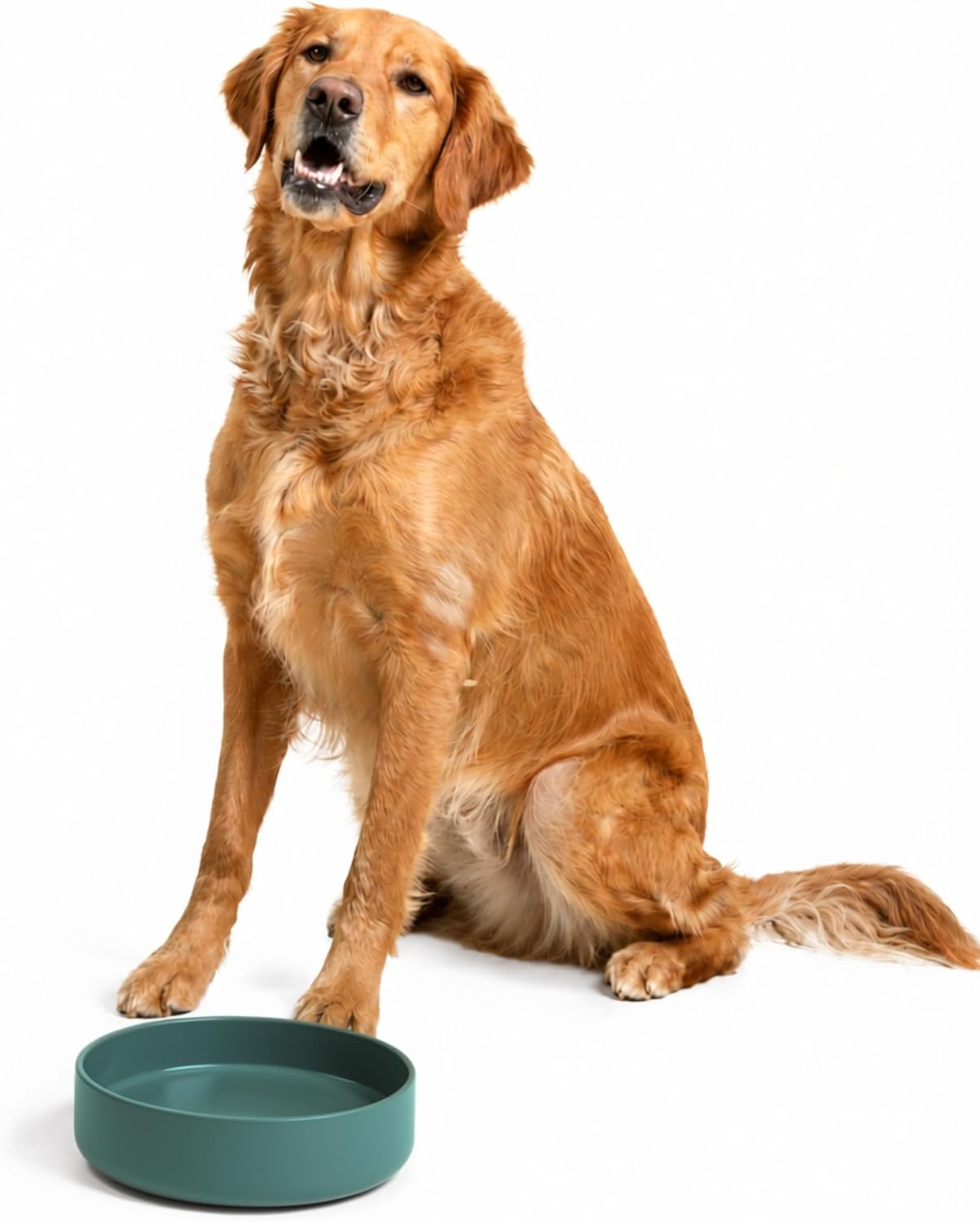 The Perfect Dish - Silicone Dog Bowl for Food & Water, 9.5" x 2.5"- Spruce