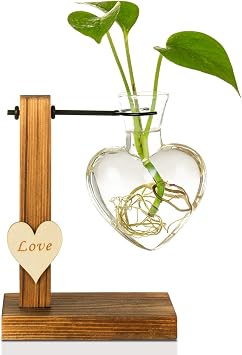 Kingbuy Hydroponic Glass Vase Vintage Desktop Plant Terrarium Planter Bulb Vase Water Planting Propagation Vase Planters Hydroponics Plants with Retro Wooden Stand Home Garden. D1 Heart Vase