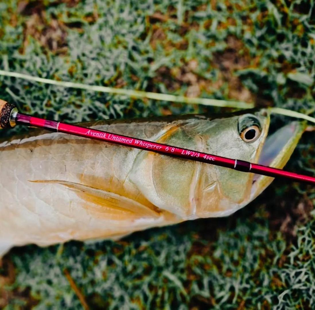 Amazon.com: Aventik Whisperer Fly Fishing Rod 4 Pieces, 6FT 0/1/2