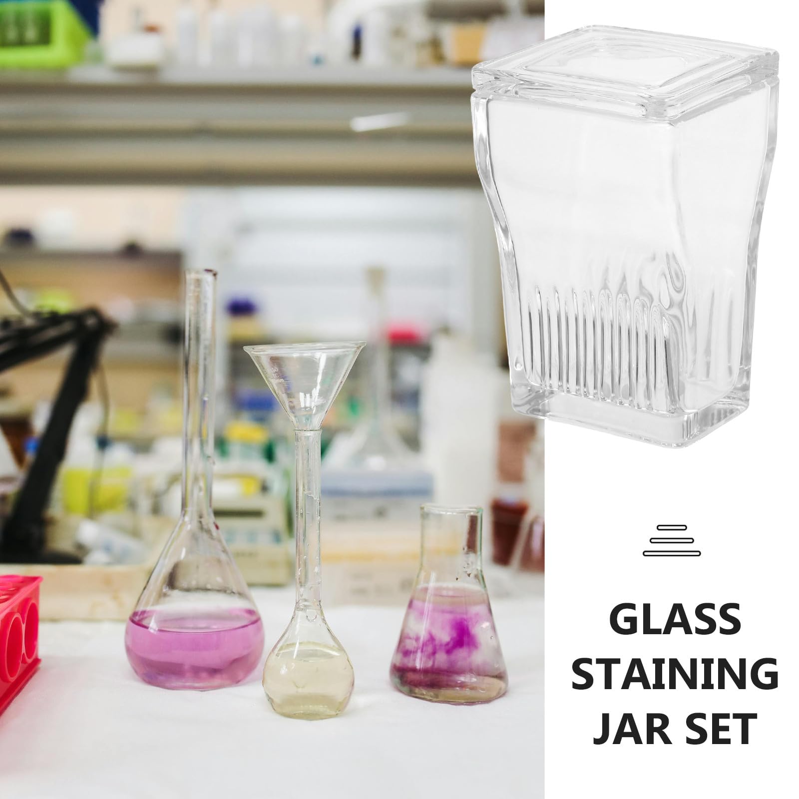 Vaschetta per Colorazione in Vetro Trasparente a 9 Vetrini con Coperchio Portavetrini per Microscopio Resistente a Solventi Chimici Strumento da Laboratorio per Analisi di