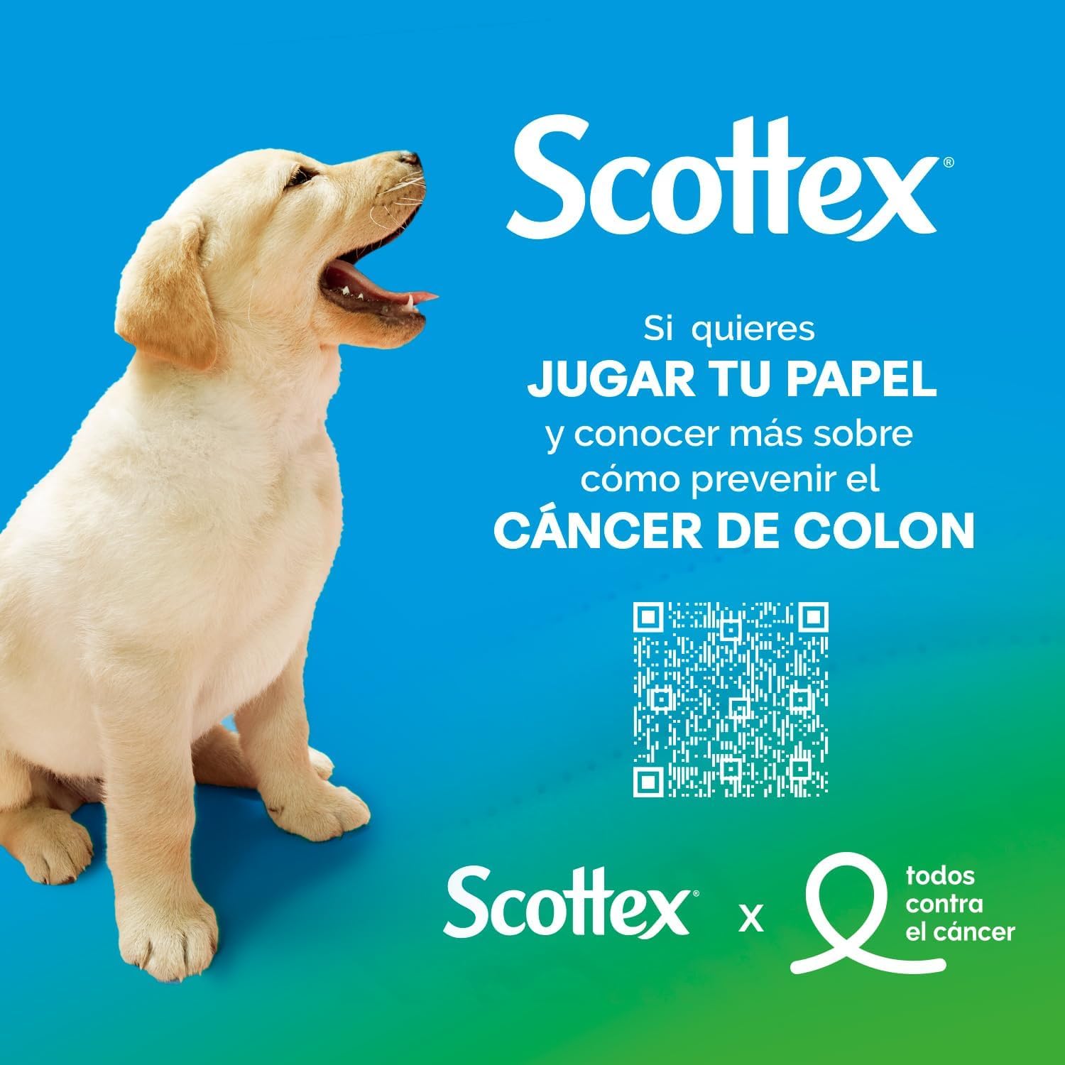 Scottex Carta Igienica Ultra Morbida 3 veli | 54 Rotoli