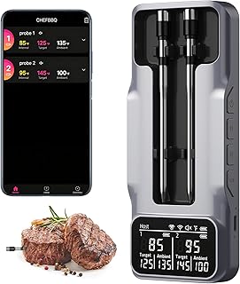 Wireless Wireless Meat Thermometer Dual Probes