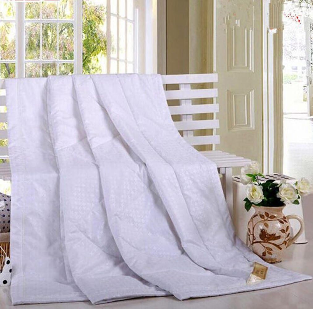 Lightweight Thin Duvet Insert for Summer Autumn (79x91, White)