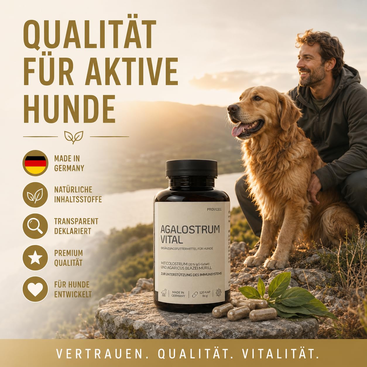 Agalostrum Vital für Hunde - Colostrum Kapseln für Hunde – 120 Kapseln – Mit Colostrum (20% IgG) & Mandelpilz – Zur Unterstützung des Wohlbefindens & Abwehrkräfte - Made in Germany