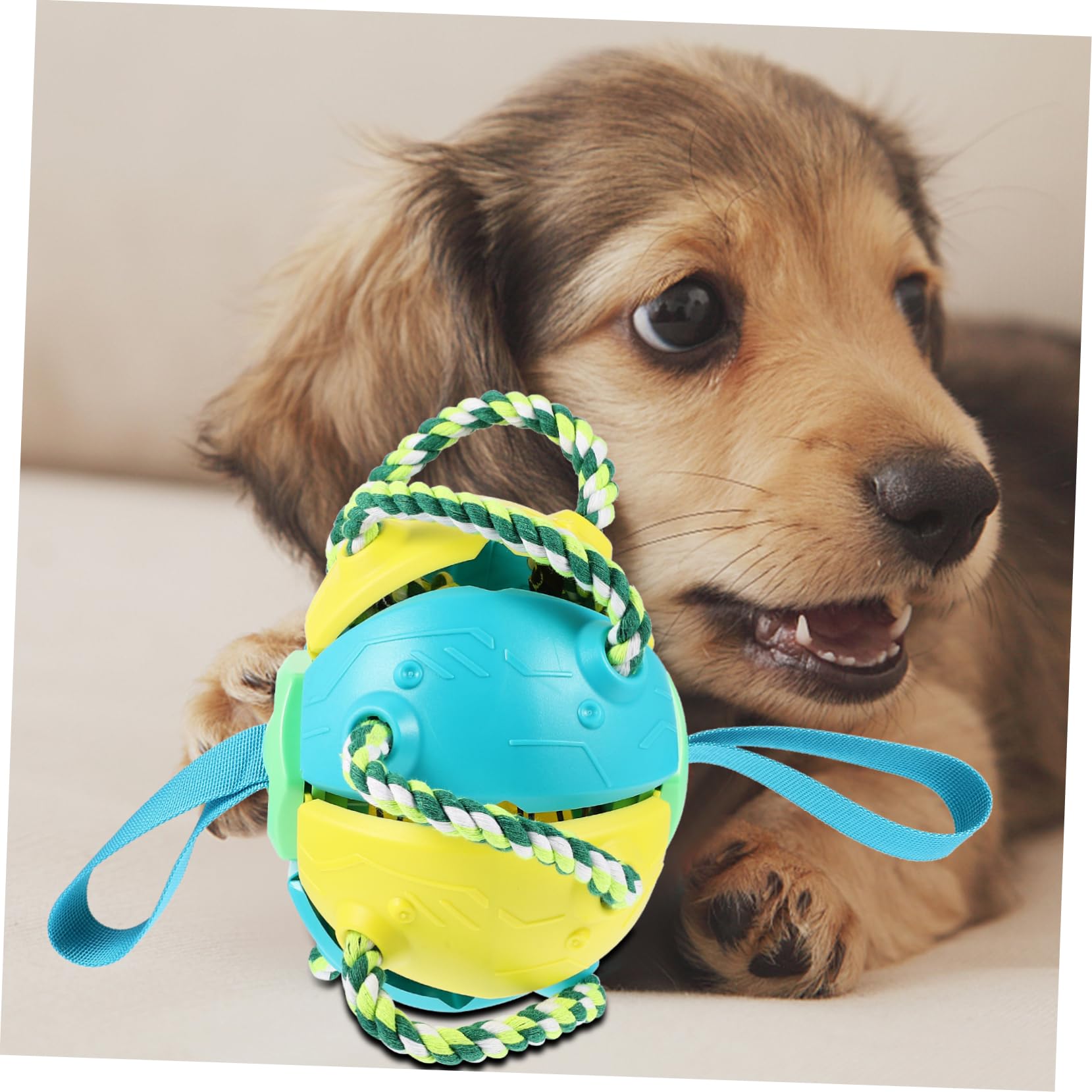 Hunde Apportierspielzeug Wurfballspielzeug für Training Draußen
